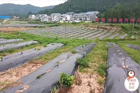 四川南部:过去的国家级贫困县，现在的发展让人不可思议！视频封面