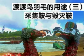 方舟生存进化－渡渡鸟羽毛用途，两种鞍具的用法视频封面