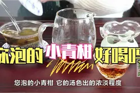 “小青柑”这样泡，更好喝！柑普茶的冲泡方法！视频封面