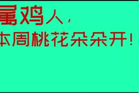 属鸡人，本周桃花朵朵开！视频封面