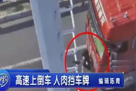 危险！女子高速上用布遮挡号牌指挥倒车，民警：驾驶证将被降级！视频封面