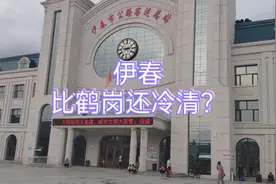 坐标黑龙江省伊春市，有人说比鹤岗还冷清，我们看看实拍现状视频封面