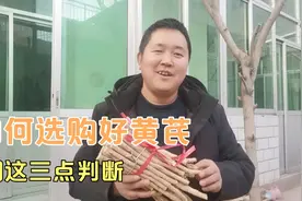 大妈入手中药材多次入坑，当归哥分享三点，教你挑选原产地好黄芪视频封面