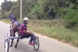 速度超快的马车，轻松上60的速度视频封面