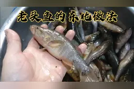 东北老头鱼，肉质肥厚，雪白细嫩，大厨用传统东北做法，味道正宗视频封面
