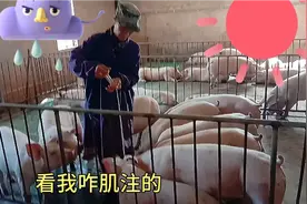 如果简单的治疗猪脚痛