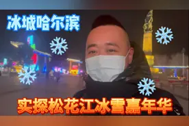 哈尔滨松花江冰雪嘉年华，大气、漂亮、好玩、冷，值得游玩的地方视频封面