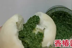 小满季节后采摘的老香椿叶，做一道美味，就馍馍吃，香味无以代替视频封面