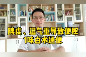 大便硬难解、大便粘厕所，脾虚、湿气重导致便秘，1味白术通便快视频封面