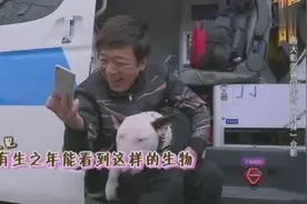 孙红雷调侃狗狗长得像黄渤，却不知道还有更像的在后面呢，笑死了视频封面