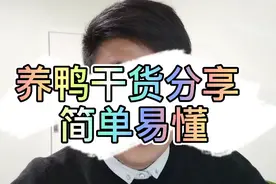 鸭摇头，歪脖子是什么病？这两种病养鸭必知，精华！视频封面