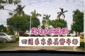 海南降温太冷了，回到乐东九所最美停车场，猫偷吃鸡肉被吓飞了视频封面