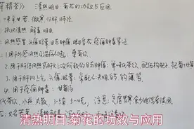 清热明目:菊花的功效与应用视频封面