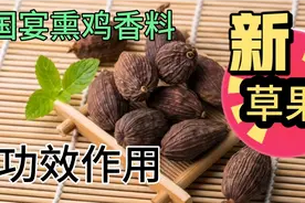 史记国宴熏鸡香料第25味：草果在熏鸡卤水中作用。燕郊特色风味！视频封面