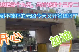 福伯减肥第十九天，掉秤十三斤二两，找到不掉秤元凶后又开始掉秤视频封面