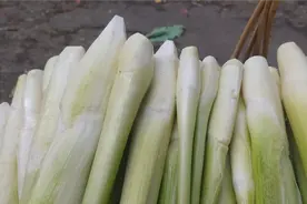 茭白里的“小黑点”是什么，这个小黑点到底能不能吃视频封面