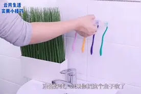 生活小技巧24：卫生间抹布，牙刷，毛巾这样摆放，干净又整洁视频封面