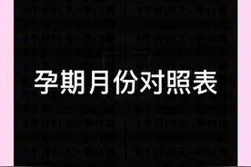 孕期月份对照表视频封面