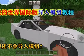 我的世界手机国际版导入模组教程，不会的快来看看