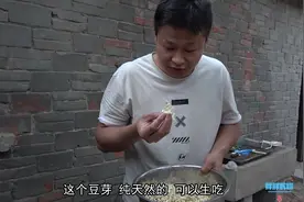 期待已久的豆芽，终于生出来了，纯天然可以生吃的视频封面