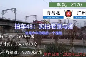 拍车48：实拍老鼠(CRH380A)与猪(DF11G)争相抢镜视频封面