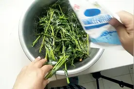 农村大姐存放香椿，拿出来永远都是新鲜的，这样腌才好吃视频封面