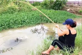 山野村姑村边小河钓鱼，别看钓具简单，但收获不是一般的好视频封面