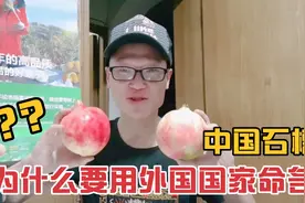 为什么中国石榴要起一个外国名字突尼斯软籽石榴，是崇洋媚外吗？