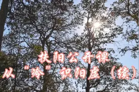 扶阳公开课：从“冷”识阳虚（续）视频封面