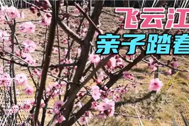 温州春节踏春，带你到一个小众的地方——飞云江上游，人少，景美视频封面