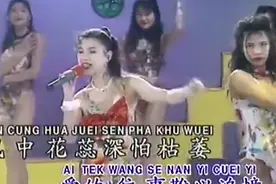 十三大美女演唱《爱你一万年》视频封面