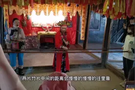 仙人合竹是巫术还是魔术？谁来科学解释这一神奇的自然现象