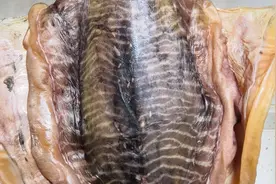 春日美食家：超大的墨鱼干，看看我们广东人是怎么来做这个靓货的视频封面