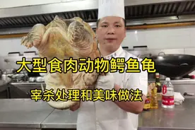 外来入侵物种鳄鱼龟，大厨分享宰杀处理技巧和美味好吃的做法视频封面