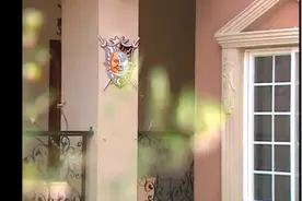 萌学园：小蝴蝶成为了蜜诺娃视频封面