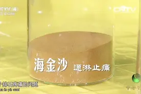 结石患者排石痛该怎么办？专家：海金沙可解决这个问题，快看看吧视频封面