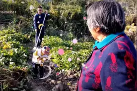 体验快乐的农家生活视频封面