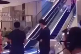 何猷君求婚奚梦瑶现场视频封面