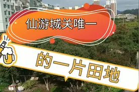 福建仙游城关唯一的一片田地，生活交通非常方便，木兰溪就在附近视频封面