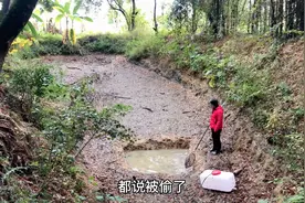 云姐鱼塘的鱼被人偷捞了，剩下的还不够交塘租，这是怎么回事