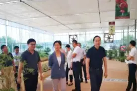 省台办主任练月琴来宿迁调研视频封面
