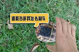 小伙给乌龟装上了轮子，乌龟玩的根本停不下来视频封面