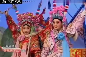 山东梆子：《穆桂英下山》选段，泰安市山东梆子剧团 孙宝红 李红视频封面