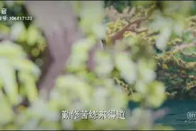 五毛特效，换脸一下白娘子视频封面