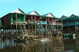 印尼水上村庄，猪都养在水上视频封面