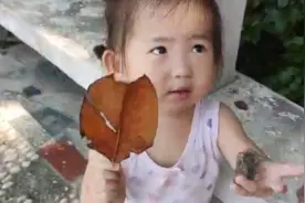 丫宝和哥哥在公园玩过家家，妹妹积极的钻石蹲摘树叶，代入感很强视频封面