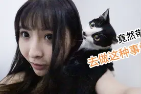蛞蝓加盐真的会变成水吗？小姐姐竟然带着她家猫做这种事情…