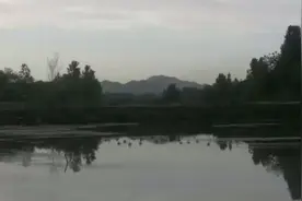 湖北安陆243省道沿途风景视频封面
