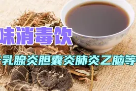 五味消毒饮，用于治疗急性乳腺炎、蜂窝组织炎尿道感染胆囊炎肺炎视频封面