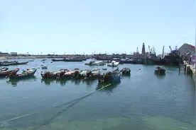 都伏季休渔了怎么市场上照样有鲜活海鲜？原来秘密在这儿视频封面